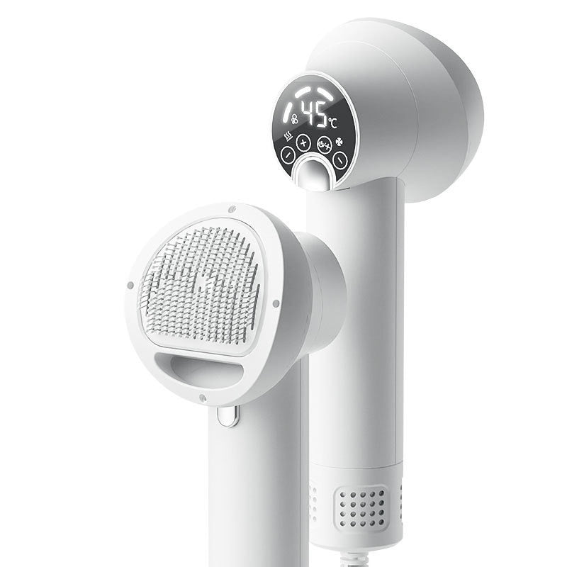 2-in-1 Pet Grooming Brush & Blow Dryer